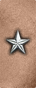 Star Silver-Bronze